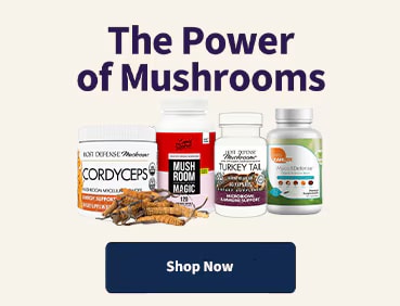 Discover the Power of Mushrooms